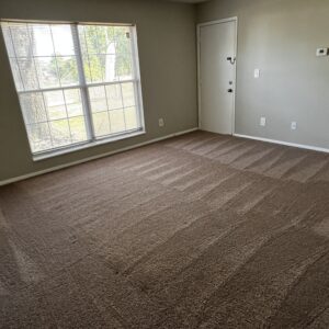 Carpet Cleaning Service